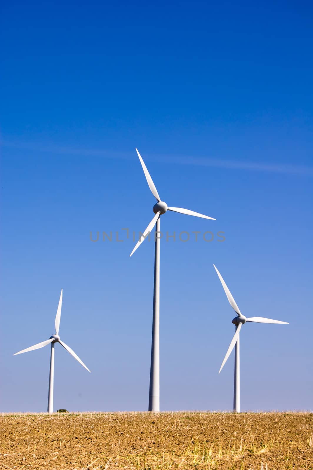 Wind farm 5 by froxx