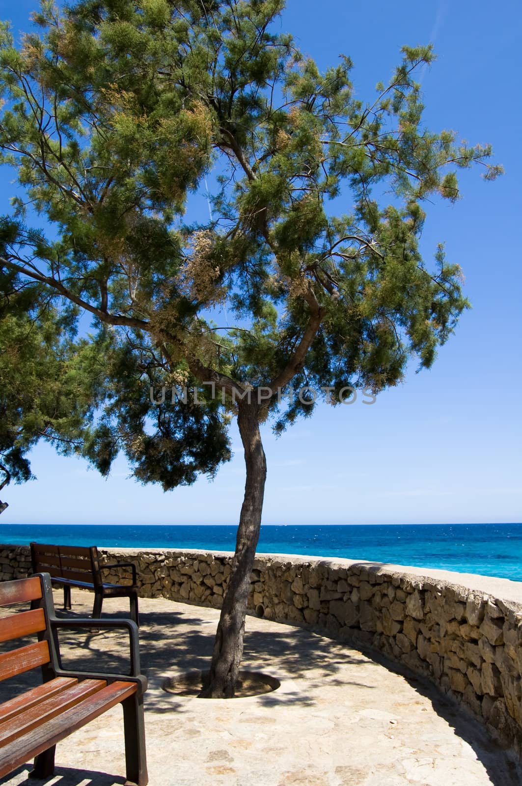 Sea view from the promenade of cala millor