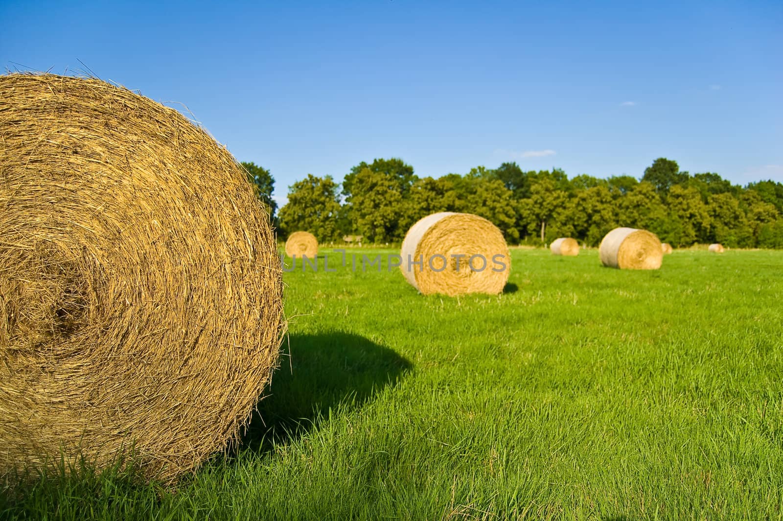 some bale of straw on a green field