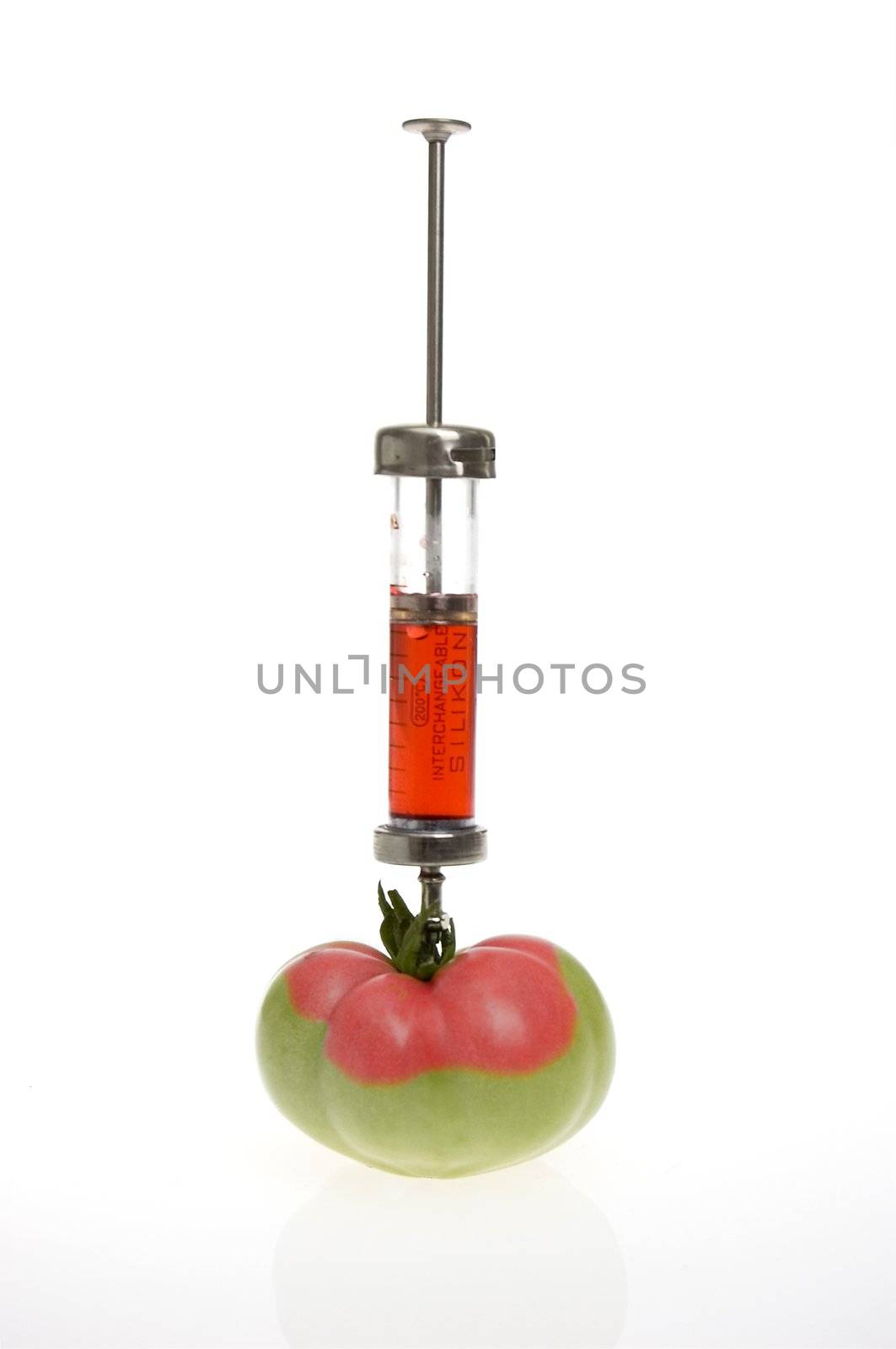 GMO - genetic modified food concept. Tomato becomes ripe.