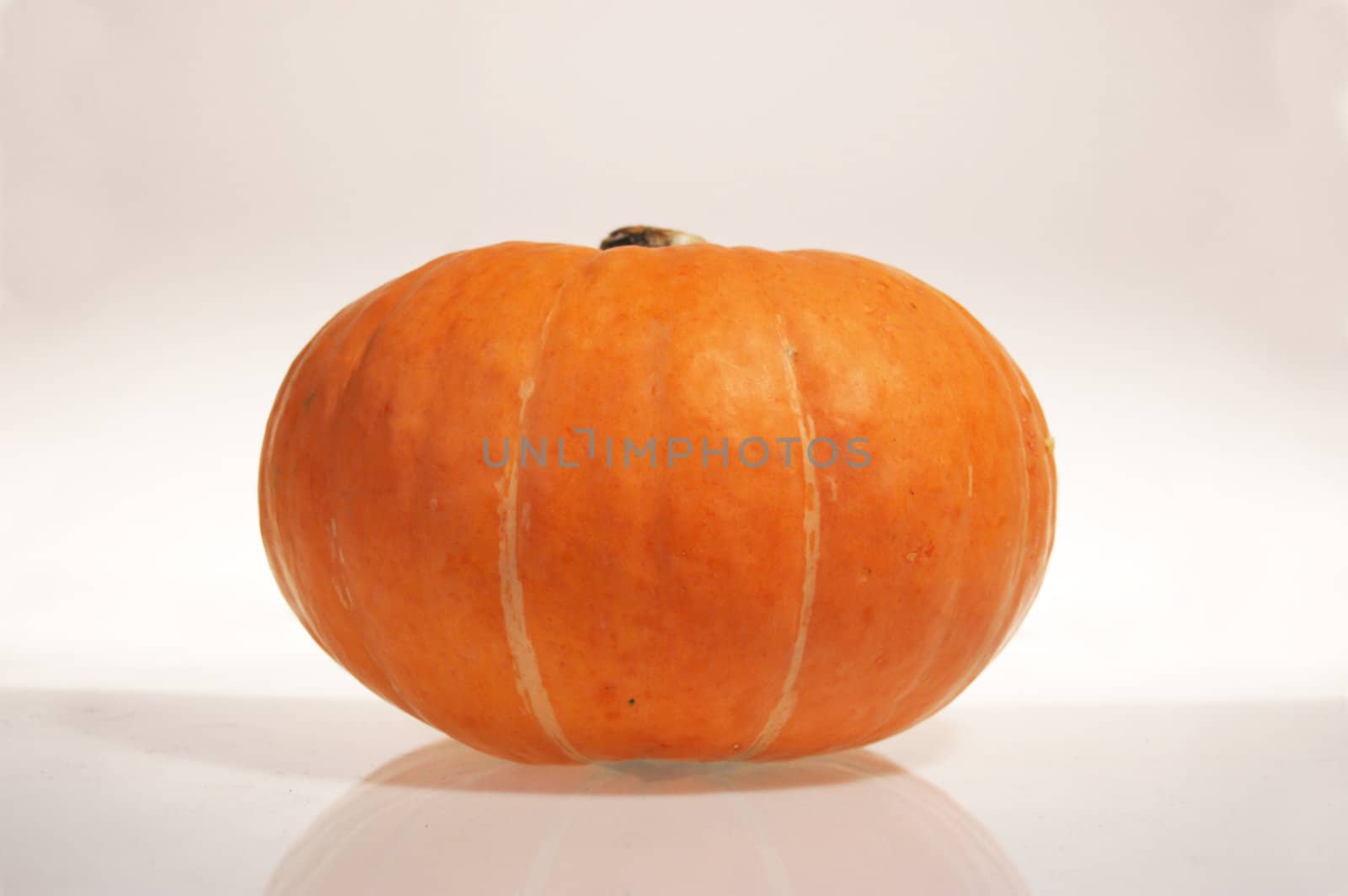 Pumpkin - autumn and halloween symbol