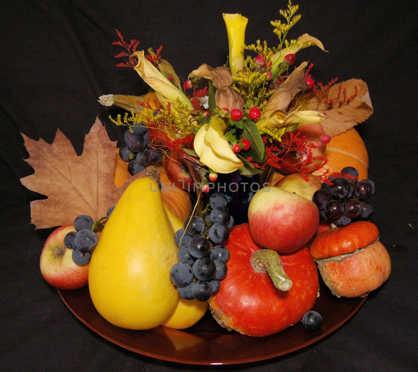 Autumn pumpkin composition by johnnychaos