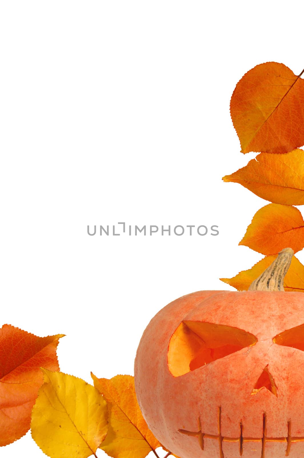 Autumn leaves by johnnychaos