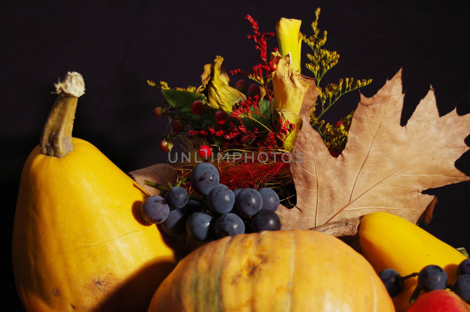 Pumpkin and other autumn things composition. Fall and Halloween concept.