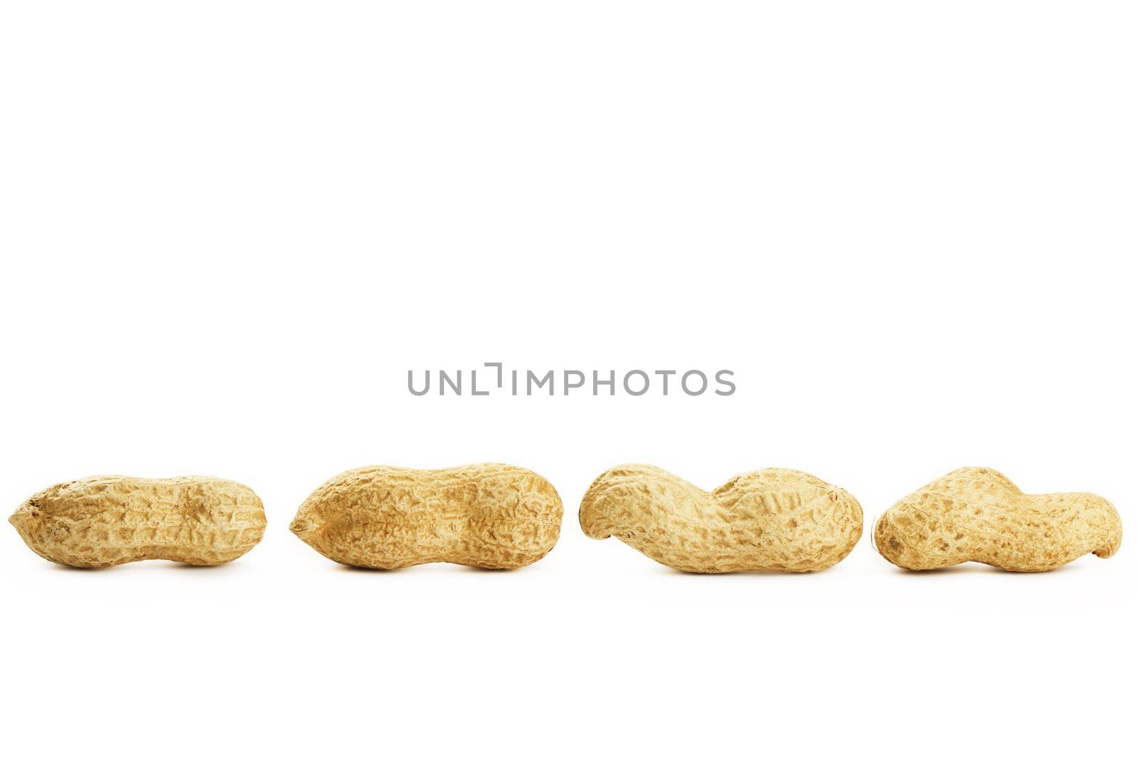 four peanuts in a row on white background