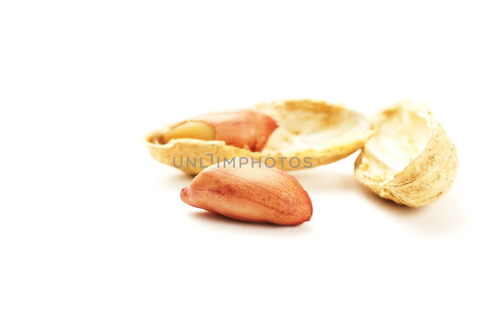 closeup of a peanut in front of shell and cracked shell on white background