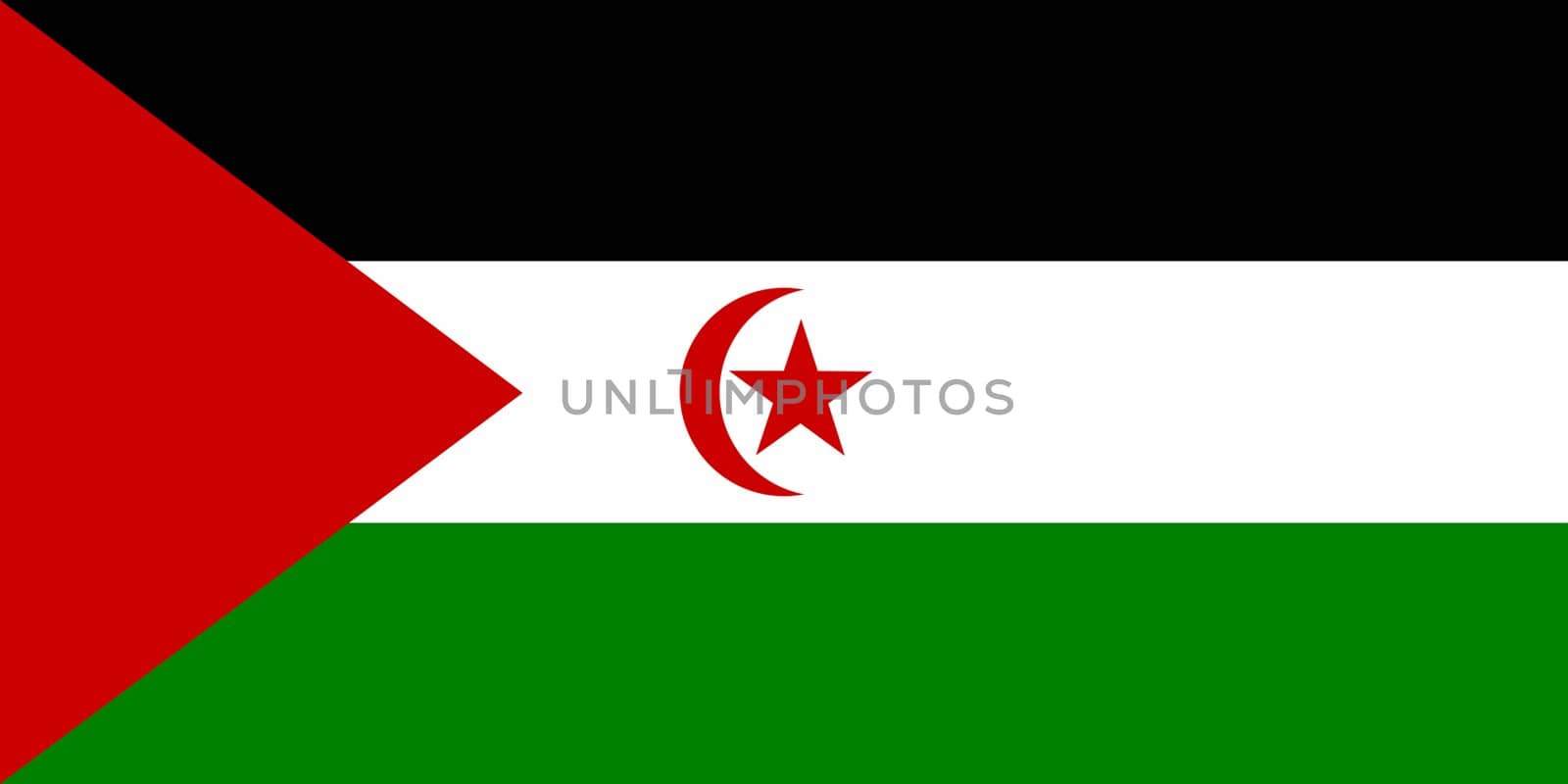 Sovereign state flag of country of Western Sahara in official colors.