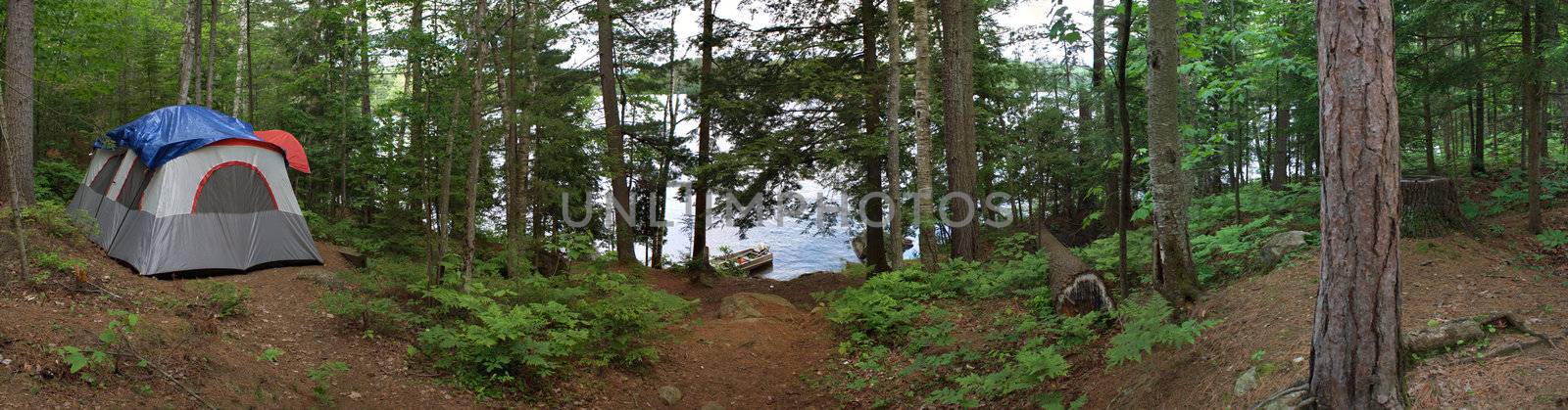 A wide angle panoramic view of a heavily wooded camp site in the Adirondacks.