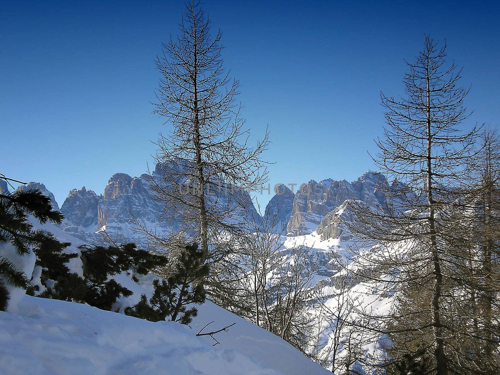 dolomites of brenta      