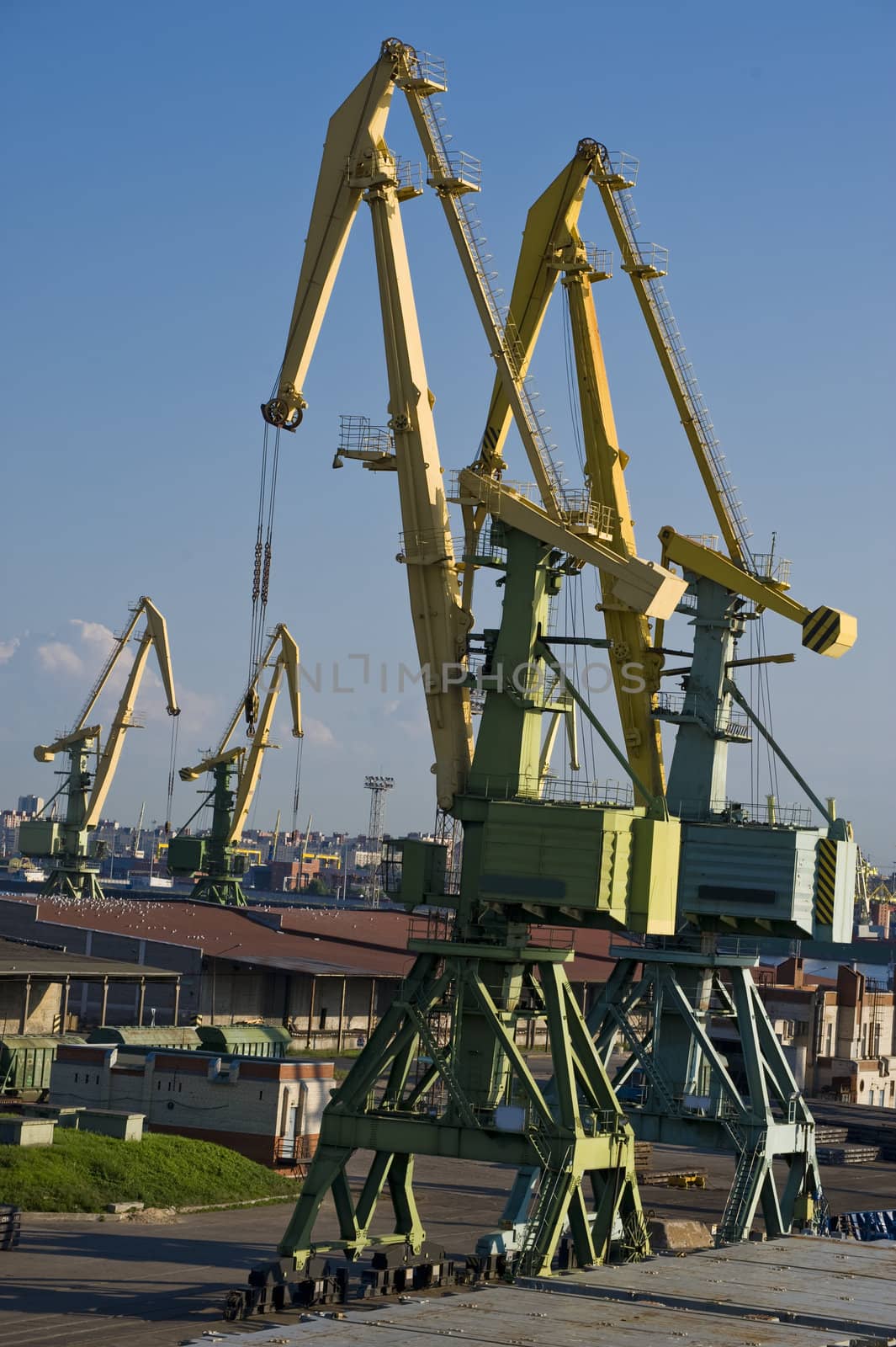Cranes in the cargo port in the Sankt Petersburg, Russia