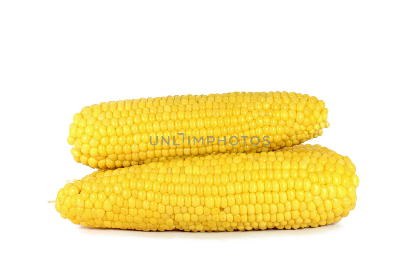 Cooked corn cob sweetcorn isolated on white