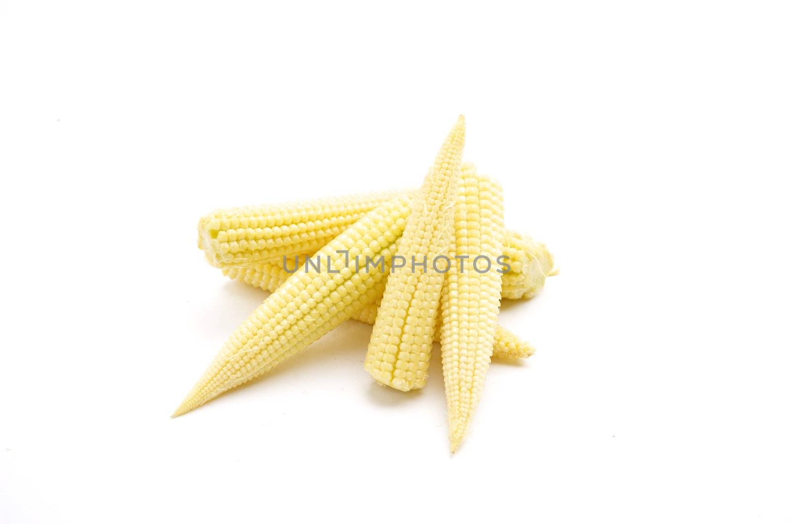 Baby Corn by sjeacle