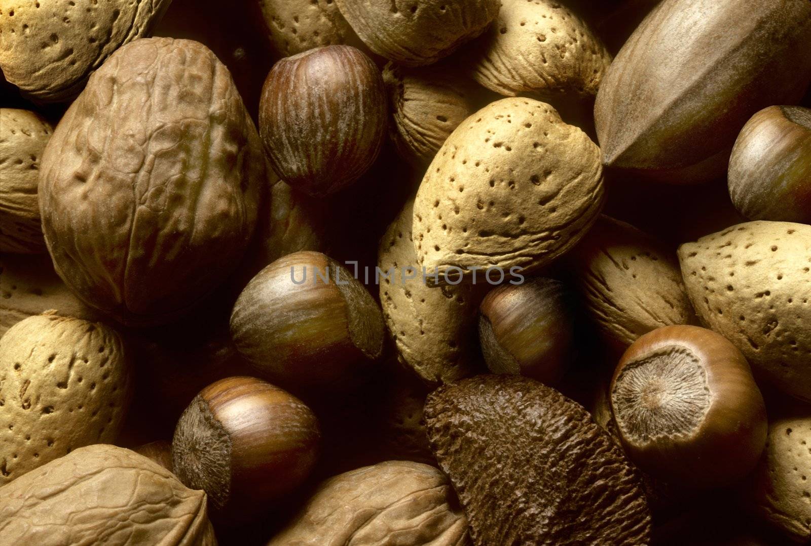 A variety of tree nuts including almonds, hazelnuts, and walnuts