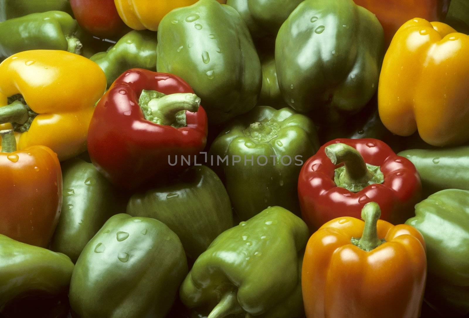 Bell peppers of various colors filling the frame