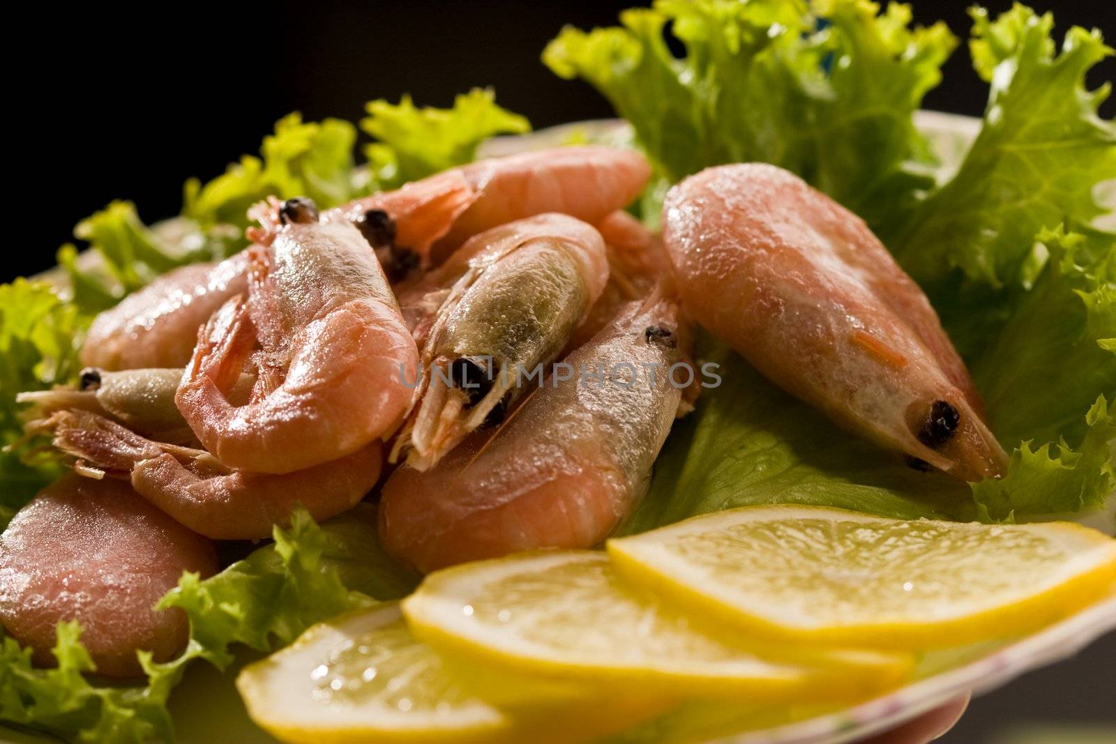 shrimp by agg
