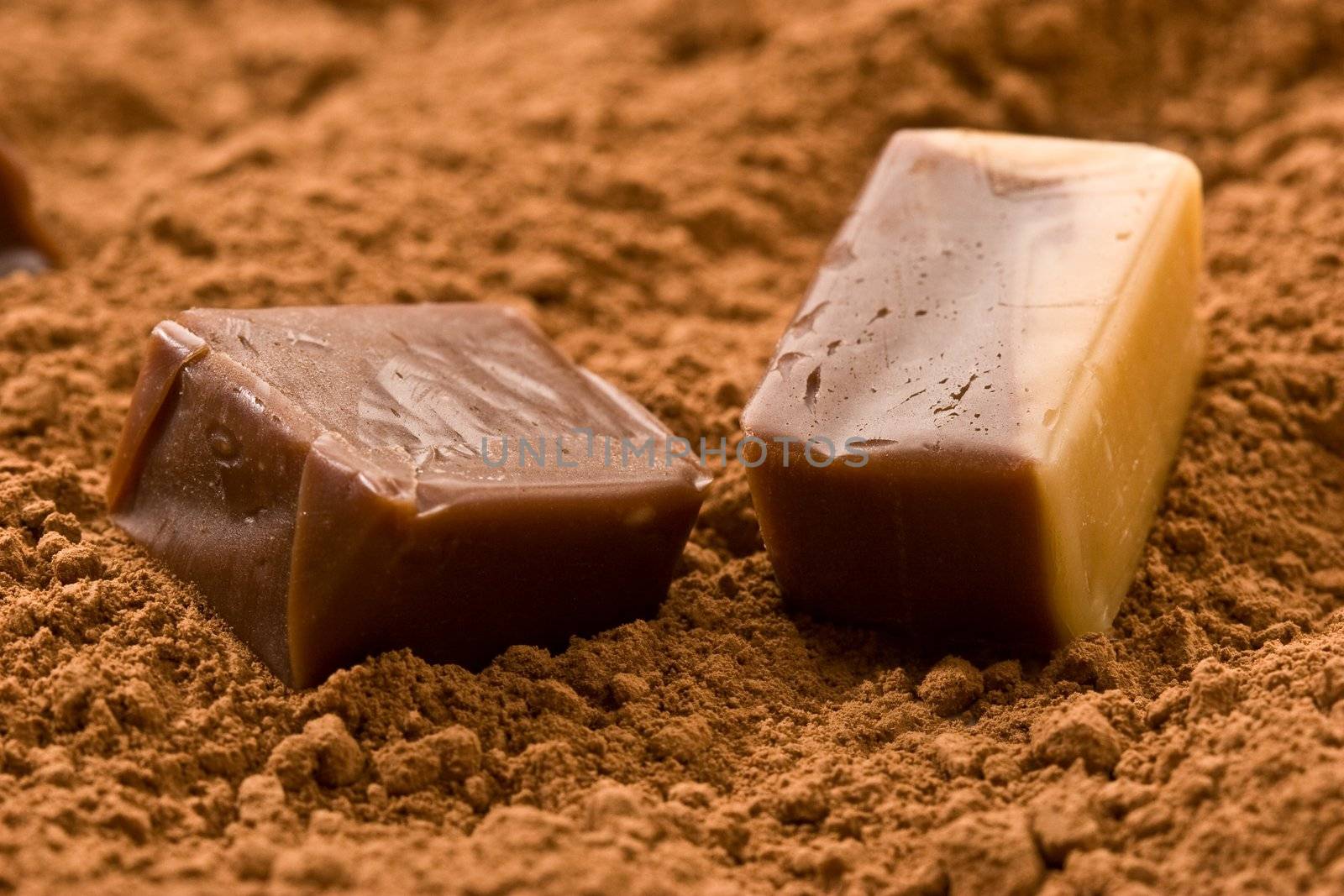 food series: chocolate candy on cacao powder