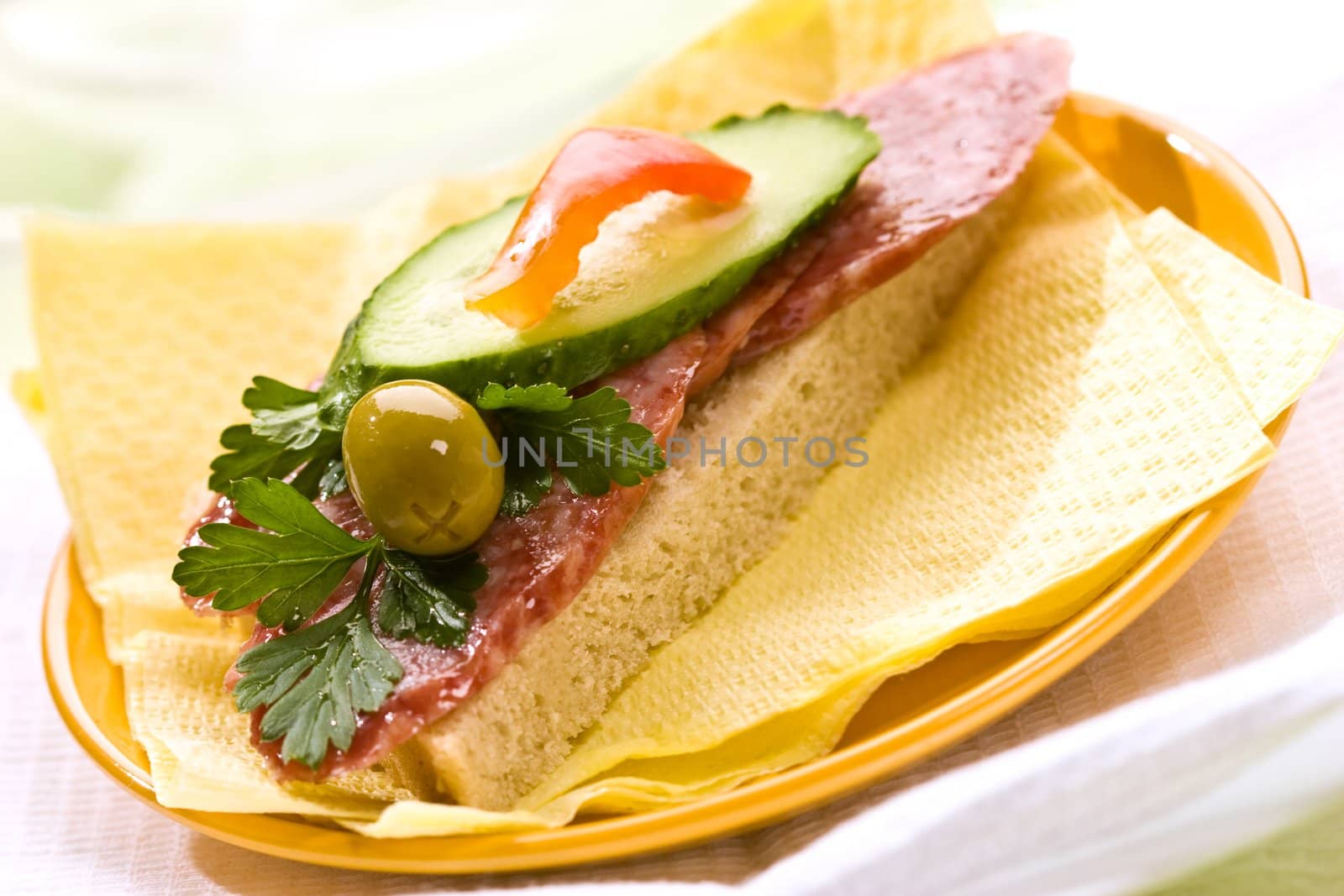 fresh sandwich with salami, cucumber and olive