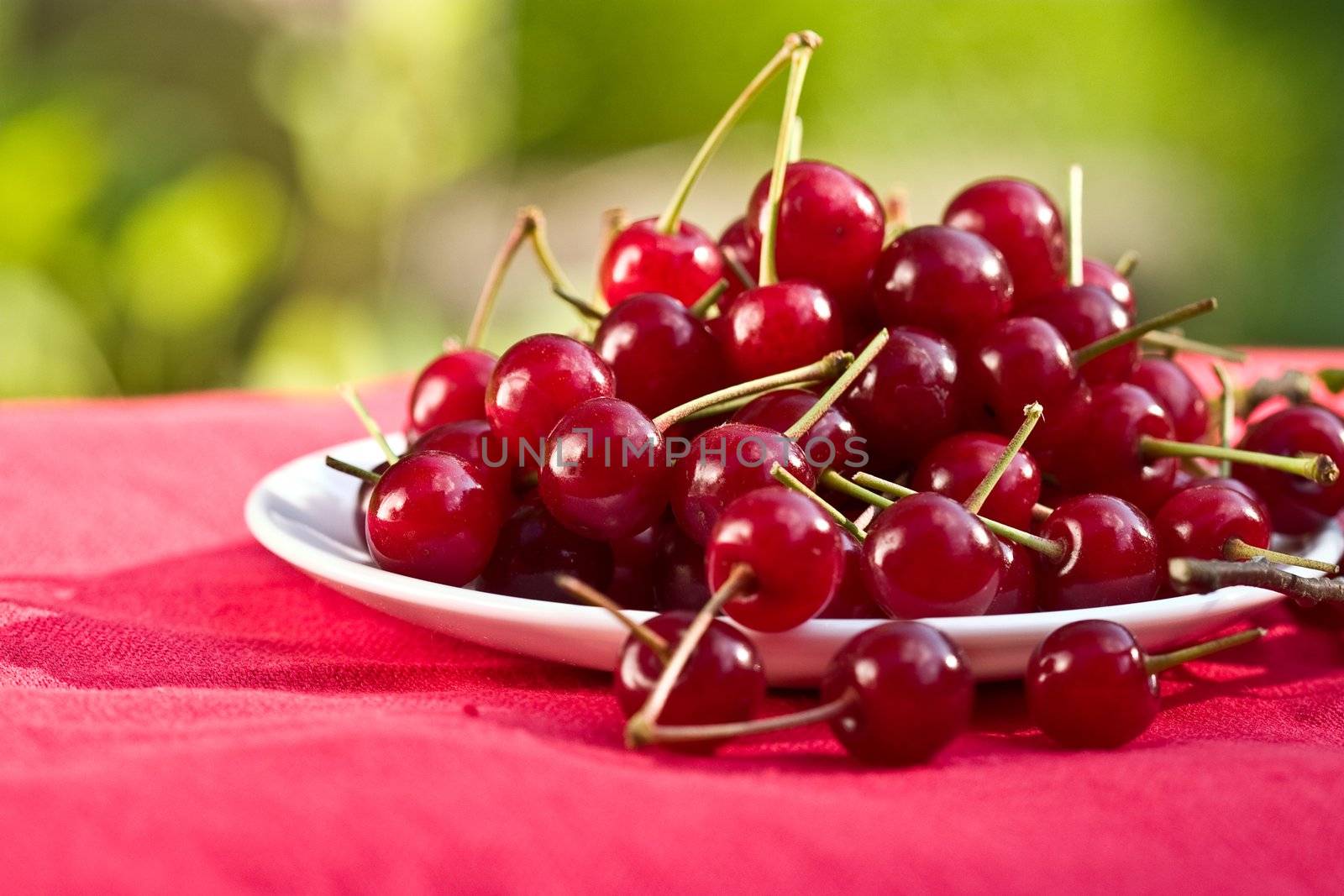 food series: freshly grown tasty red cherries