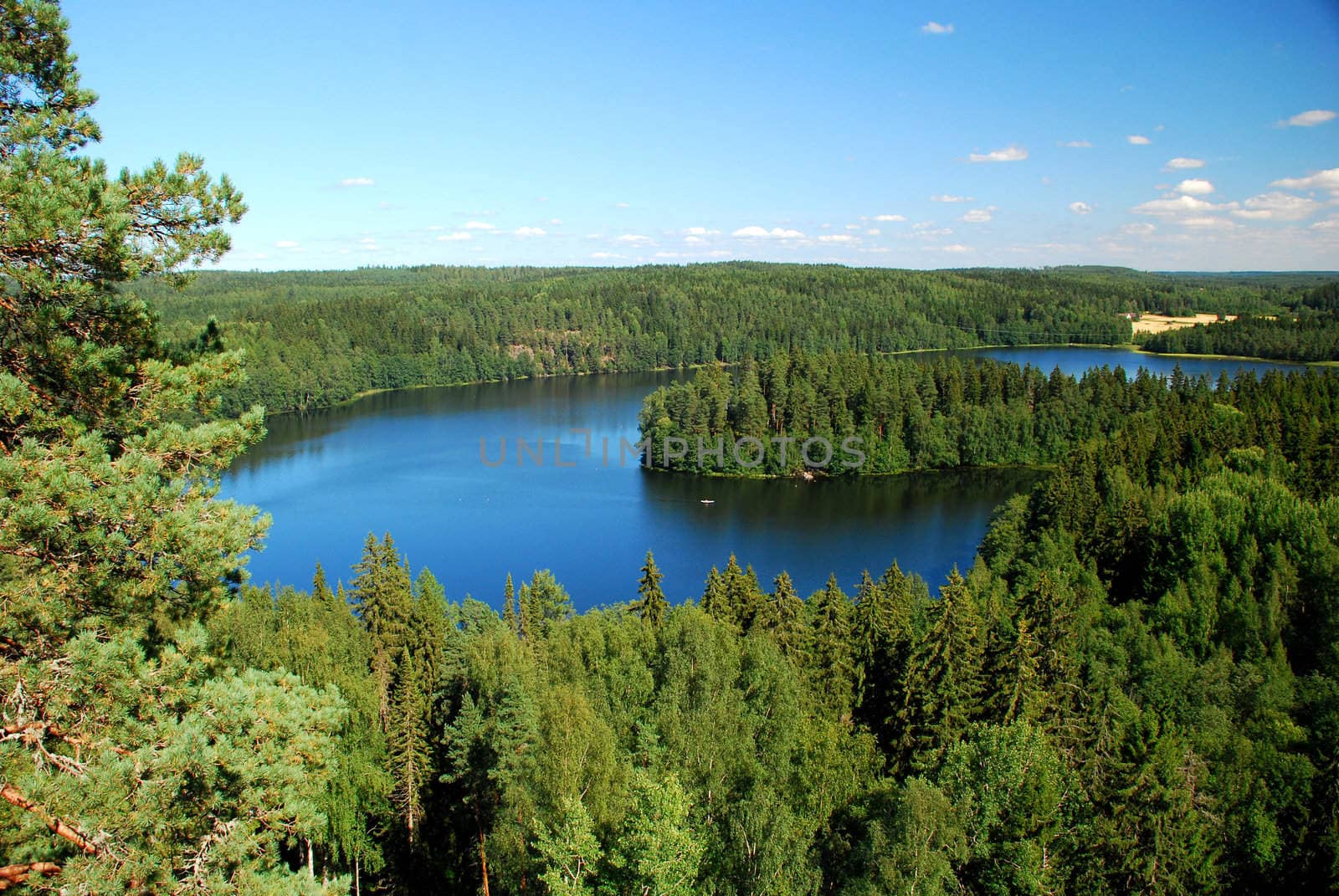 A beautiful Finish landscape taken in the region of a thousand lakes, in Finland.
We can see lakes and forests with firs, and a sunny blue sky.