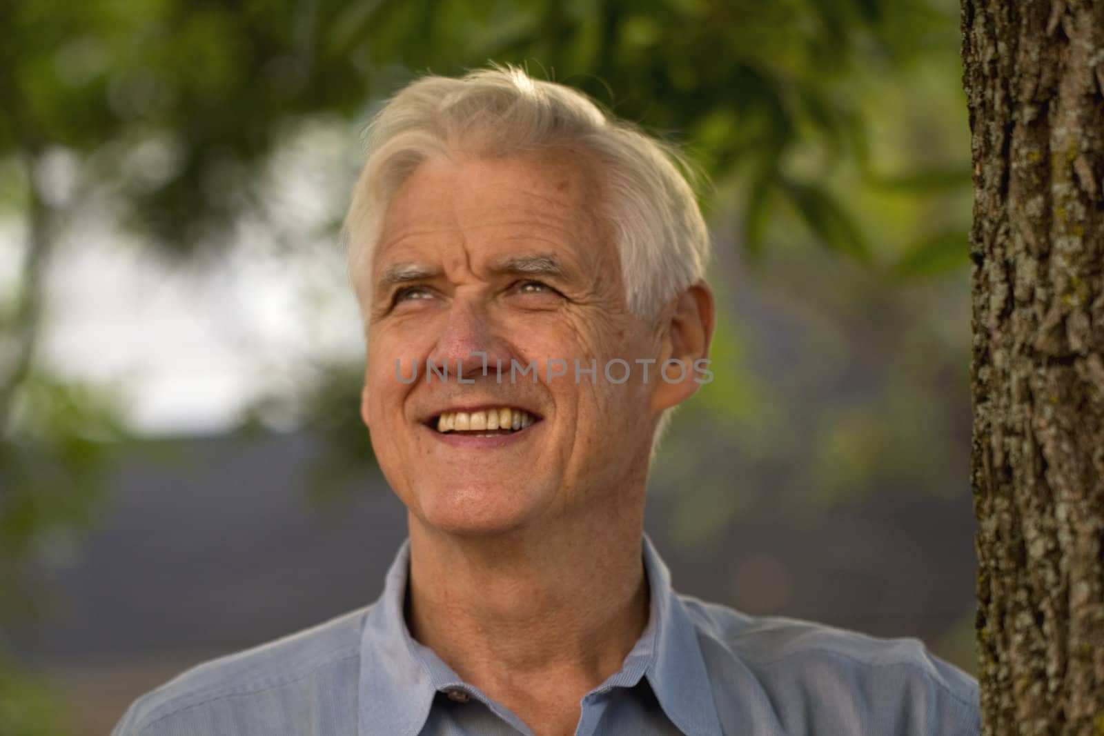Mature senior man stands outside next to a tree and looks up with a  positive smile