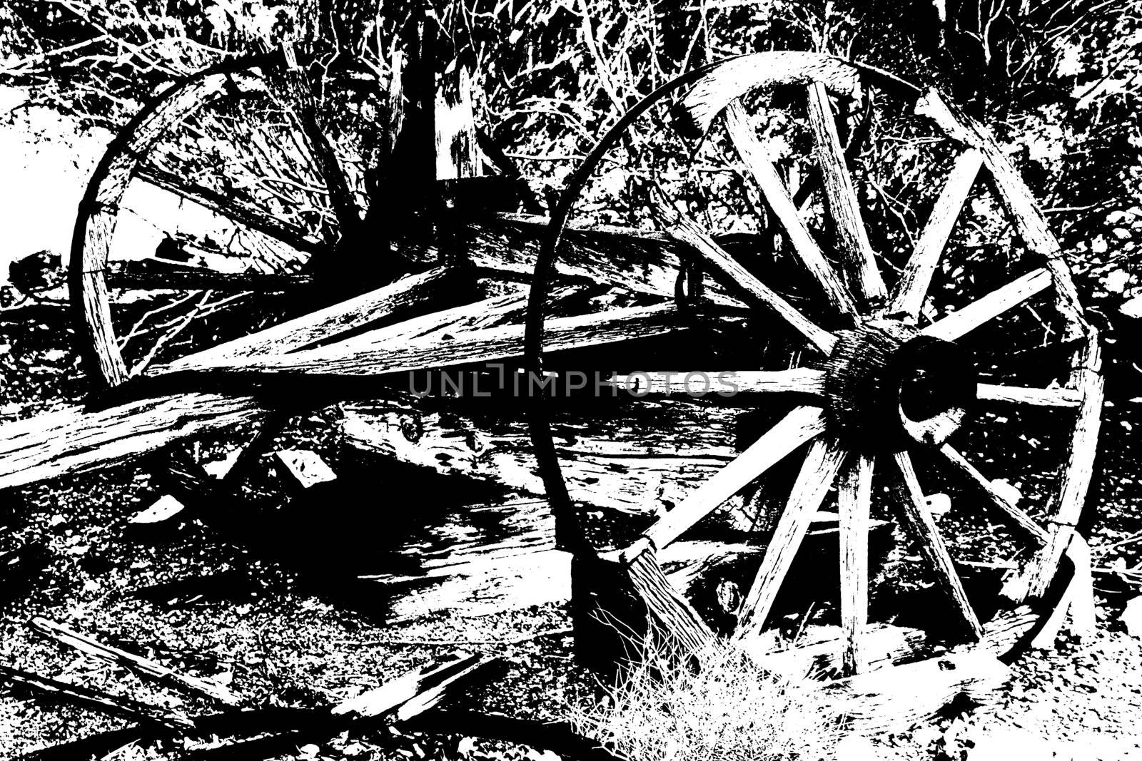 black and white axle with wagon wheel in bushes