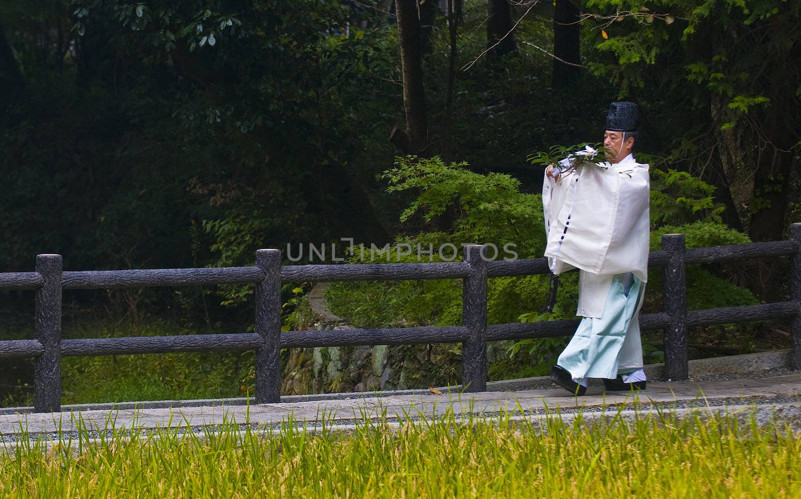 Kyoto, OCT  25: a participant on the rice harvest ceremony held on October 25 2009  in Fushimi Inari shrine in Kyoto, Japan