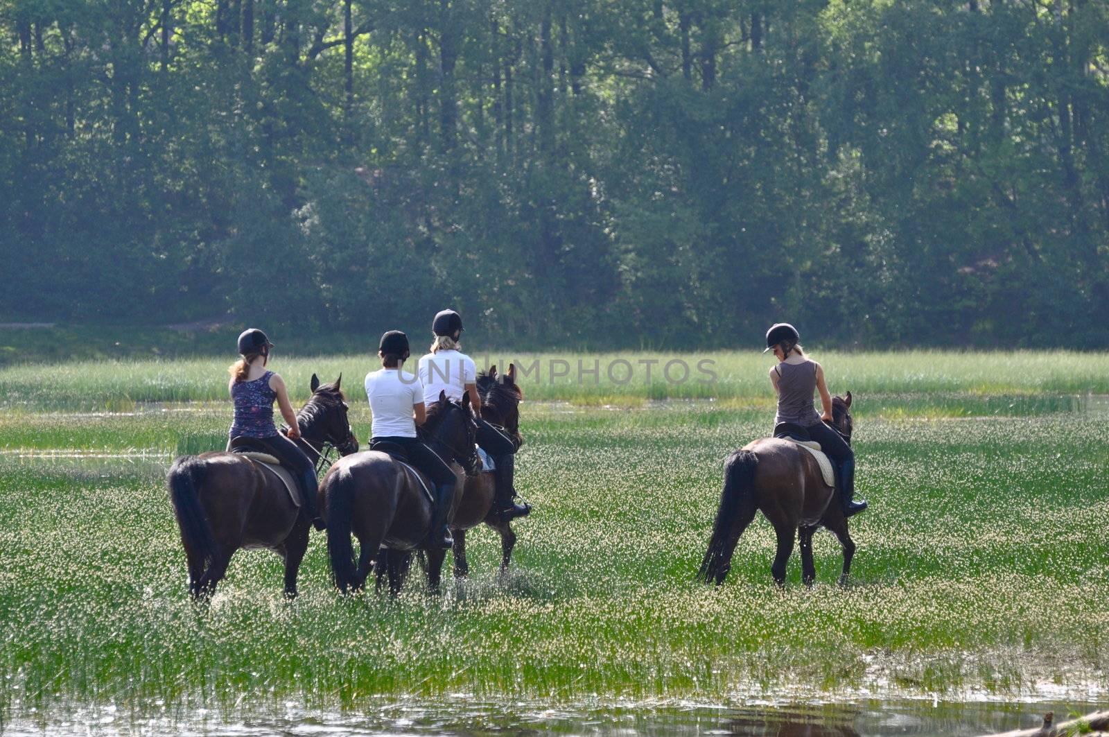 Four women riding their horses on Sunday afternoon.