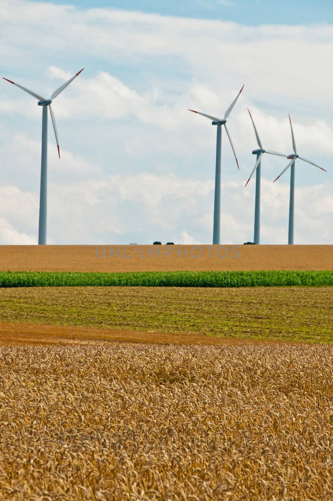 wind wheel by Jochen