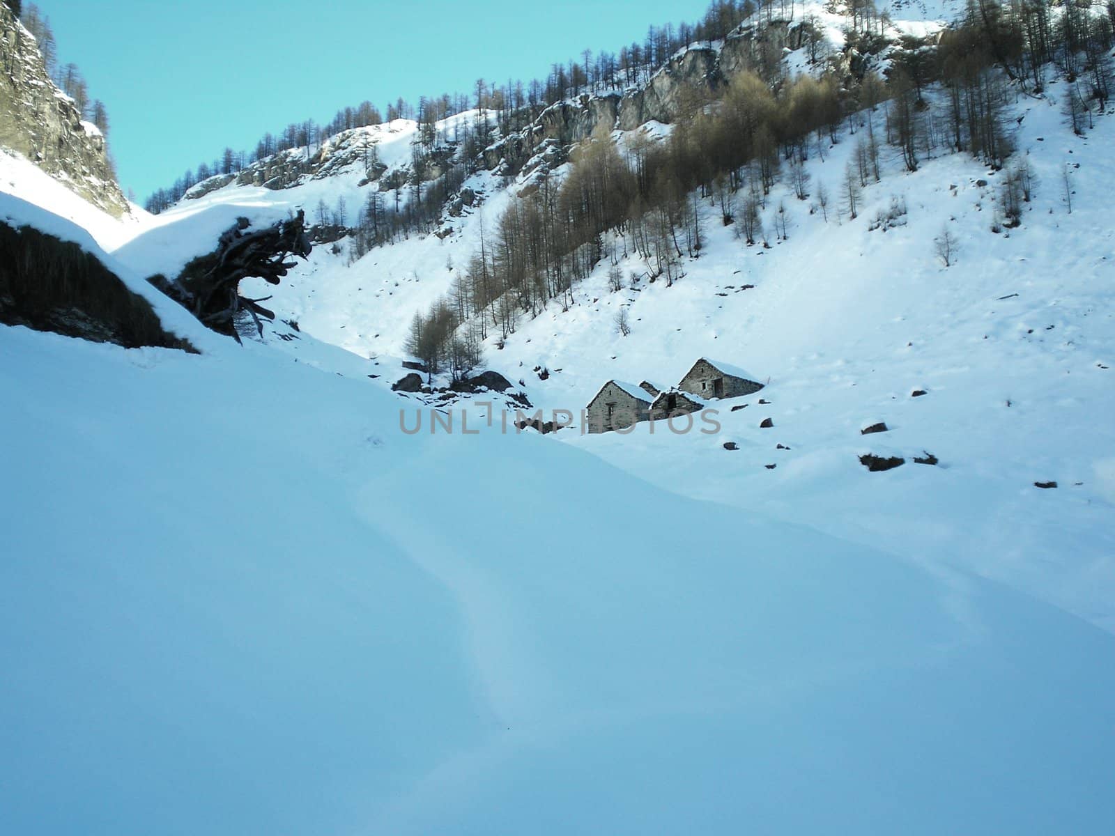 winter morning in alpe devero
