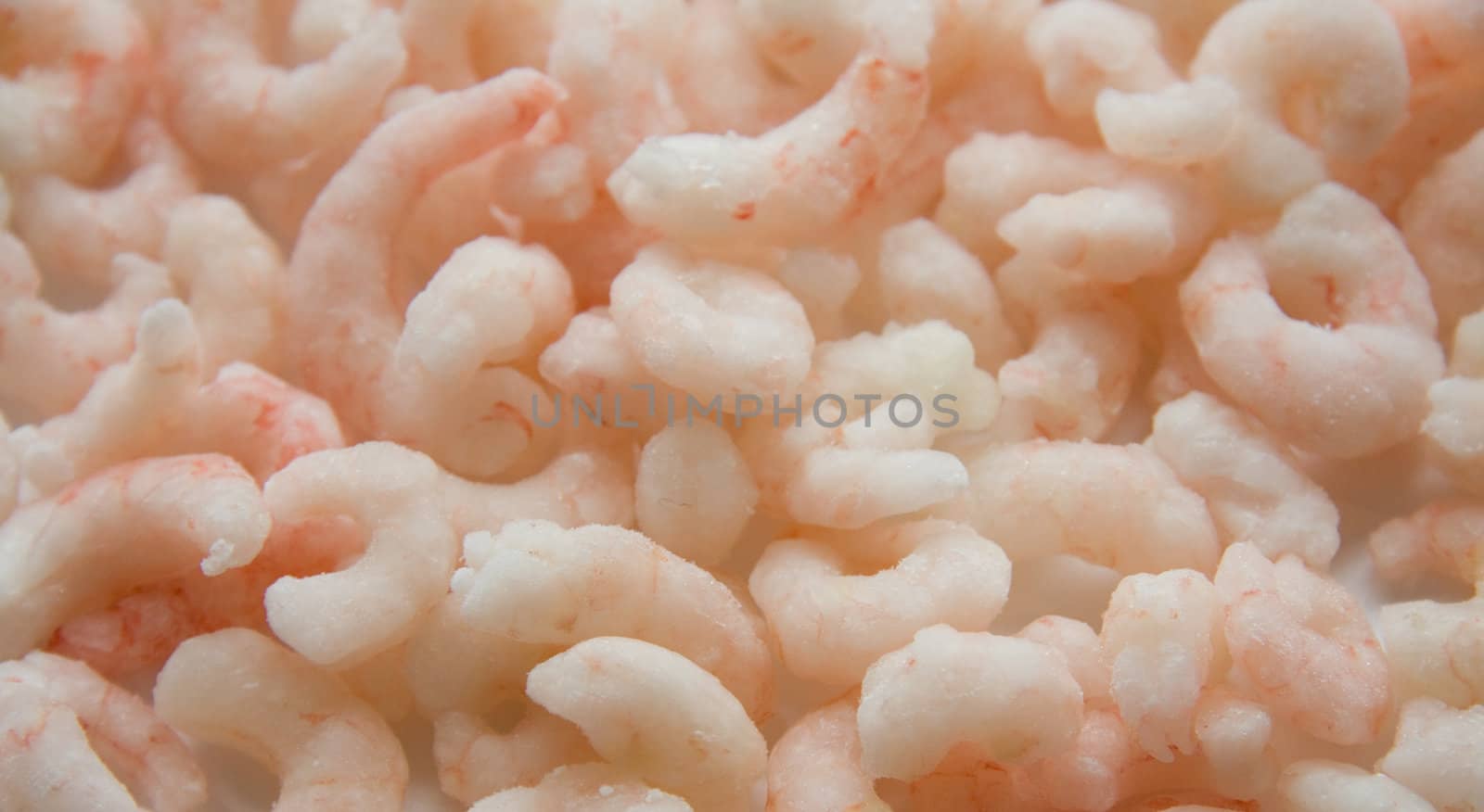Shrimps by hildurbjorg