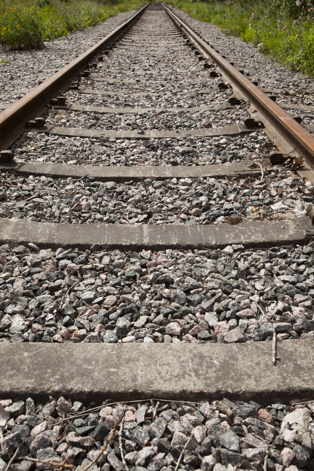 Railroad Track vanishing into the Distance