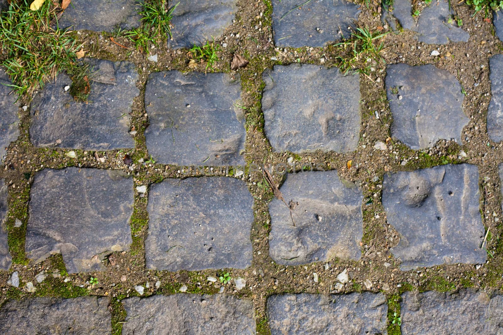 Grey Cobblestone walkway background texture pattern with plants growing through gaps.
