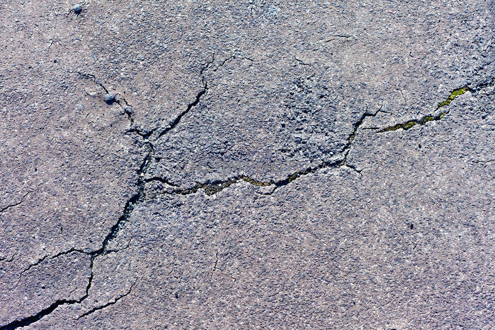 Cracks in asphalt pavement of walkway.