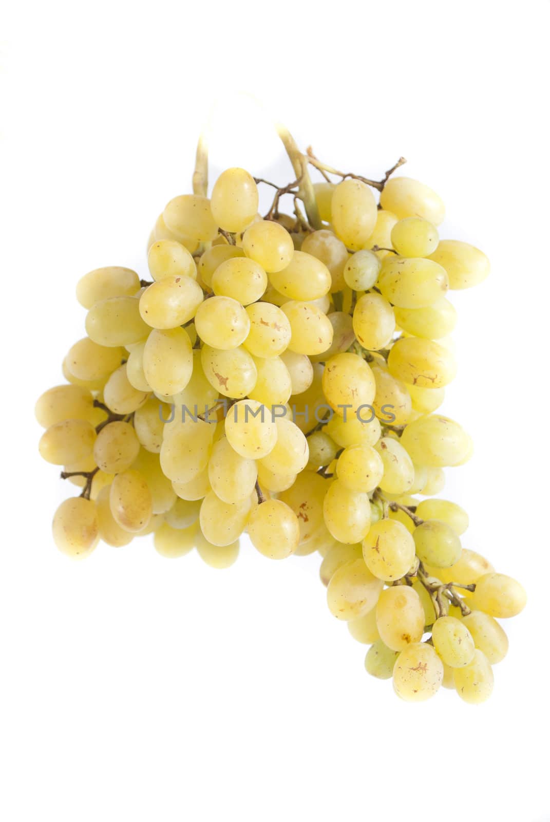 Grapes on a white background