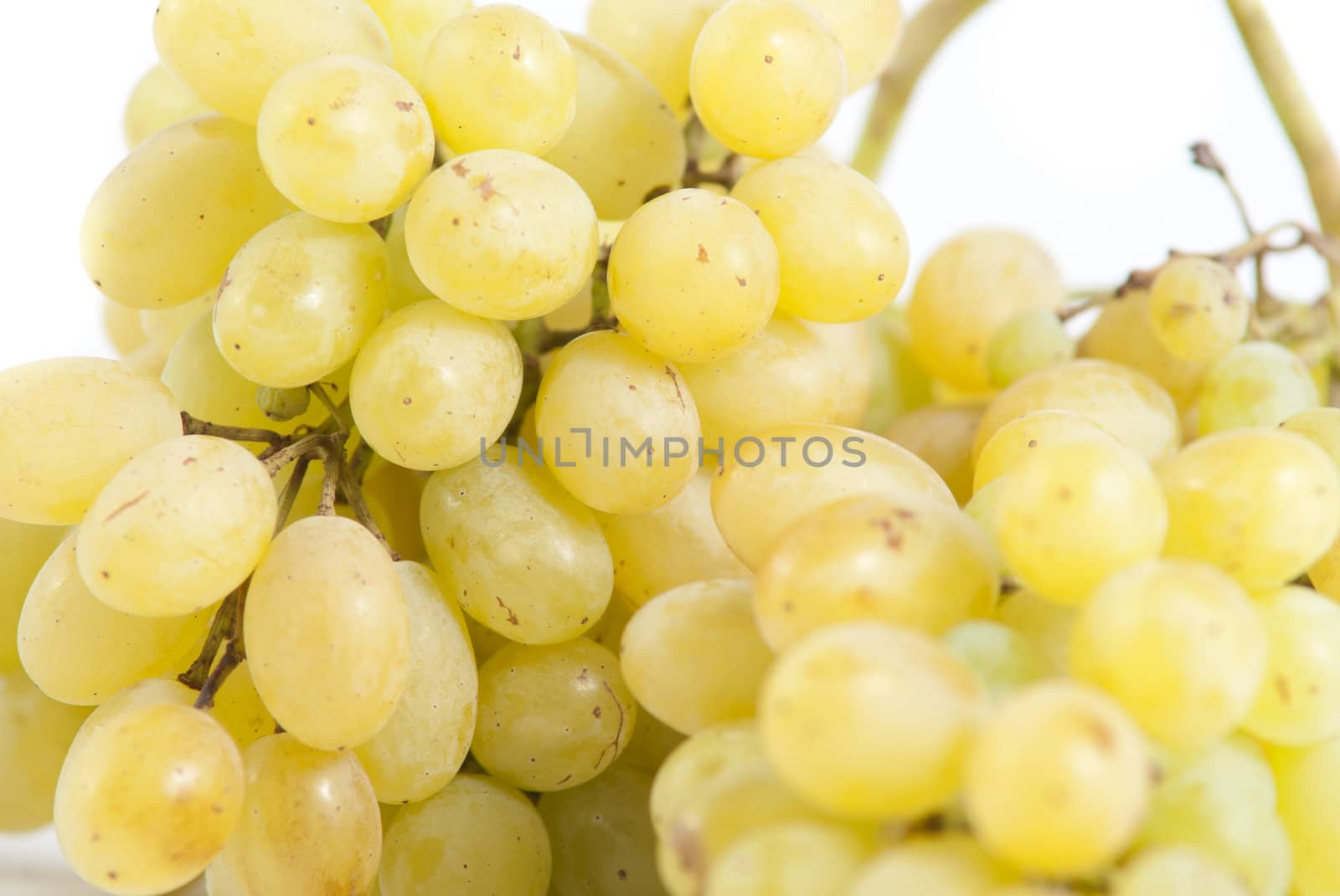 Grapes on a white background