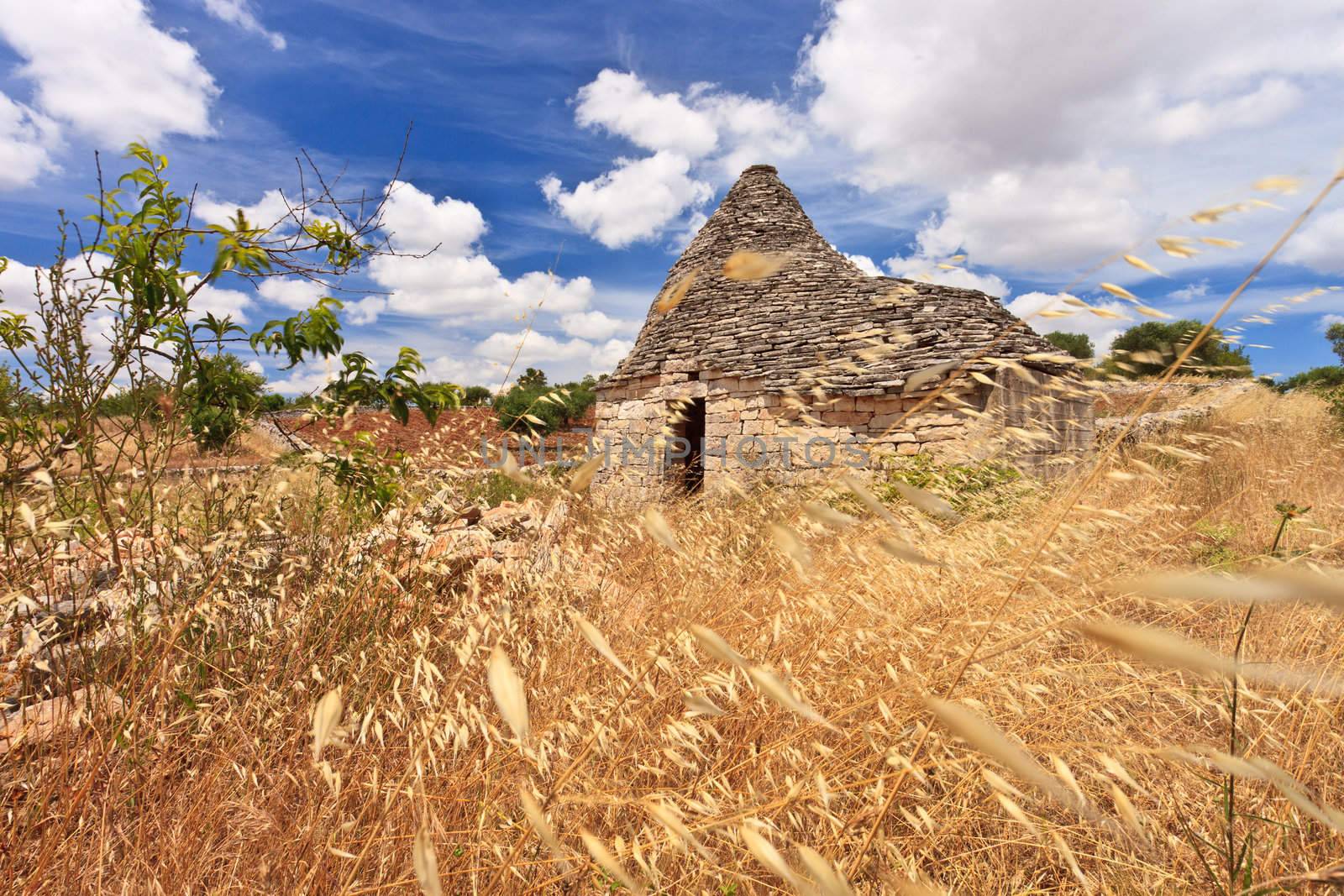 Trulli cone building hidden in long grass in Puglia Italy