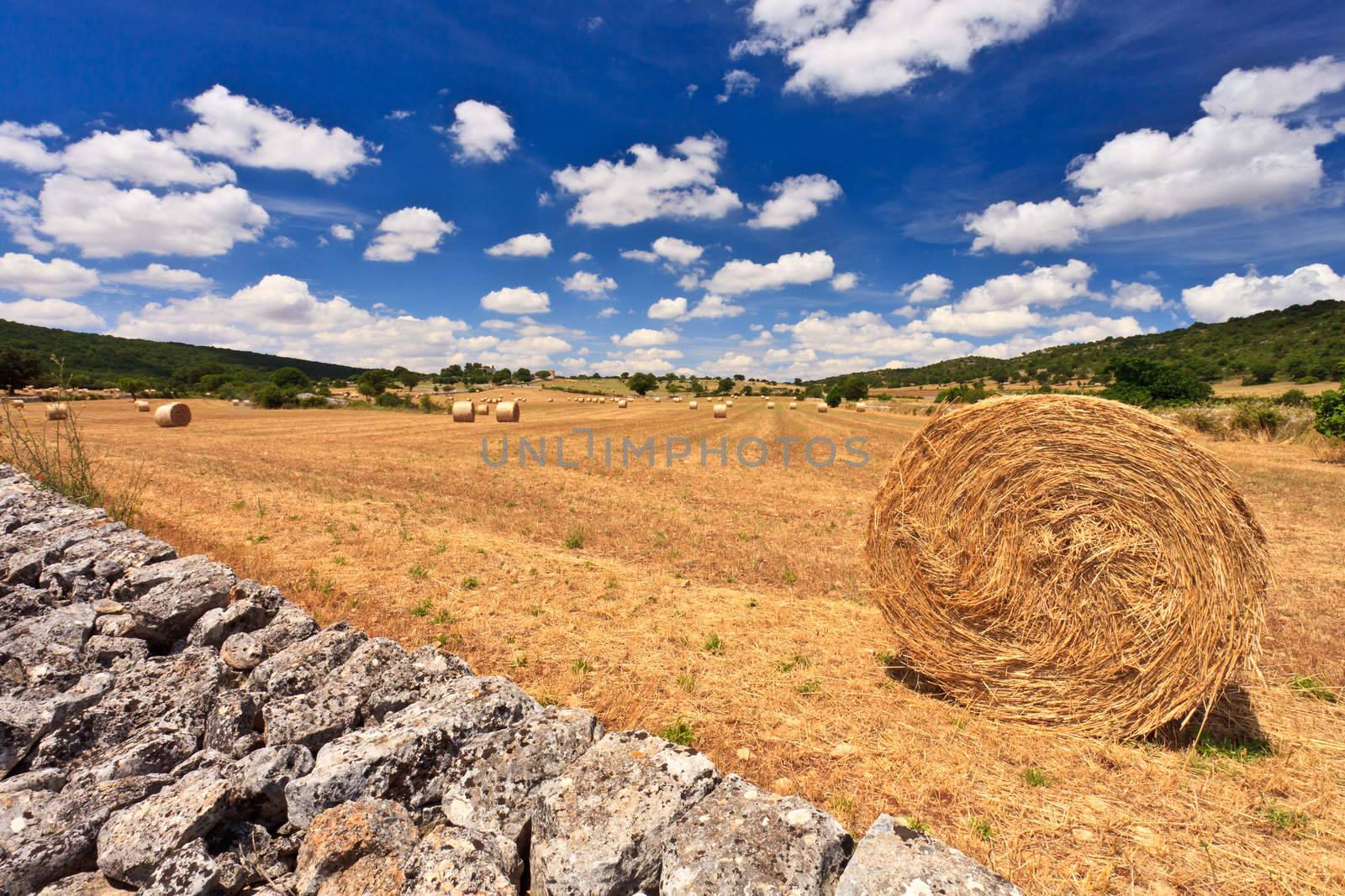 Round golden straw bale behind an old stone wall