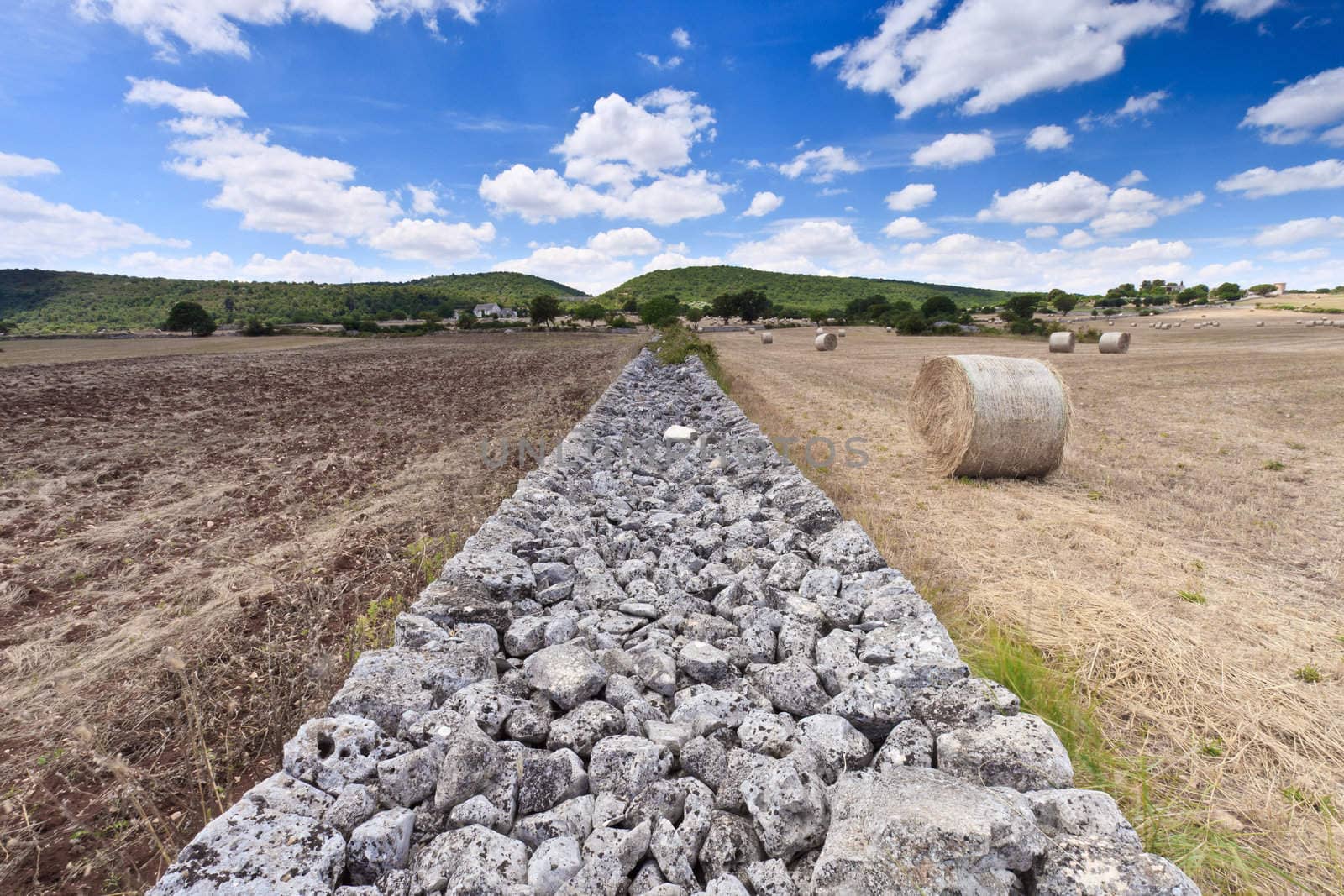 Two cultivated fields in Italy