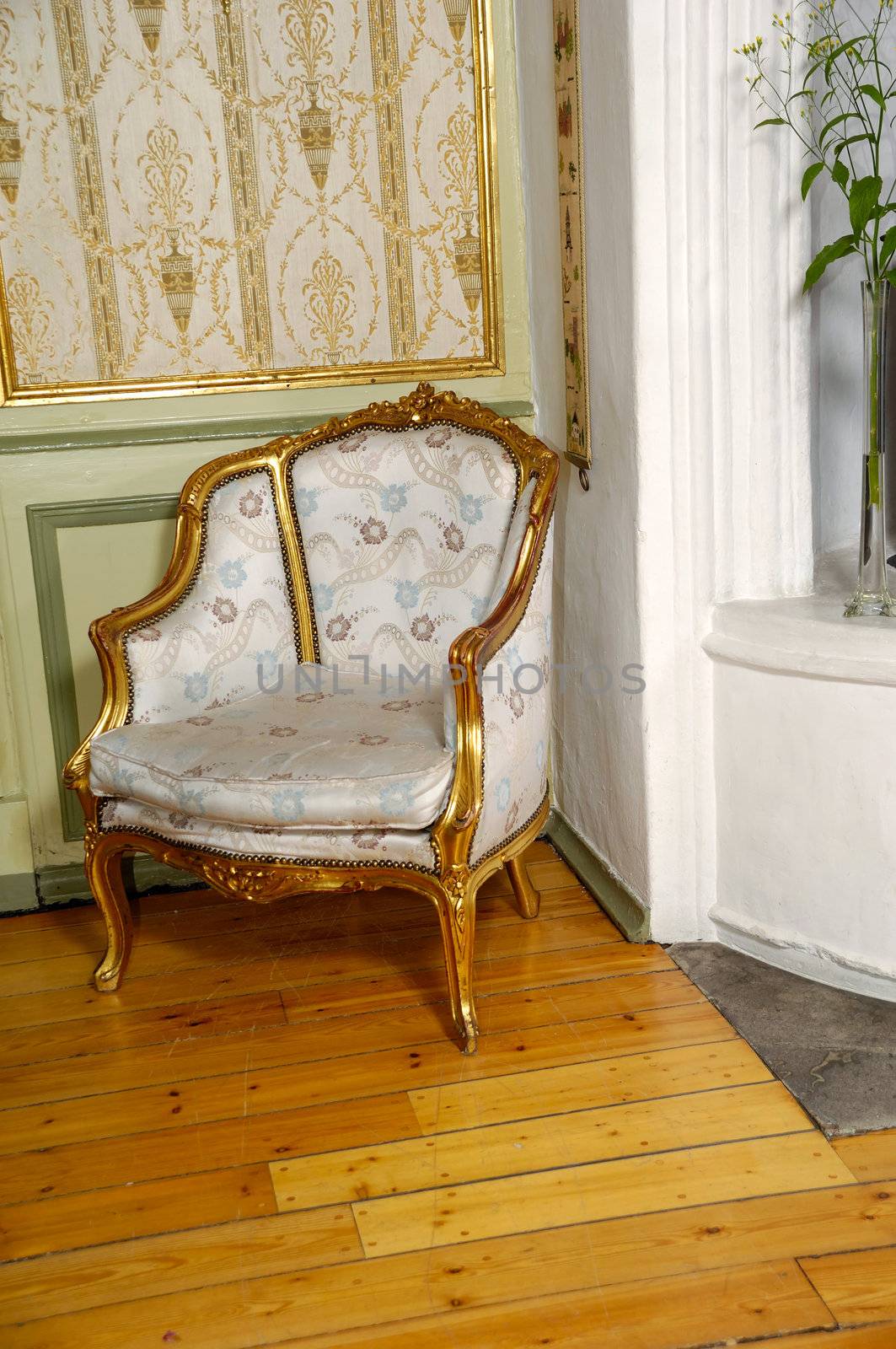 Elegant armchair by cfoto
