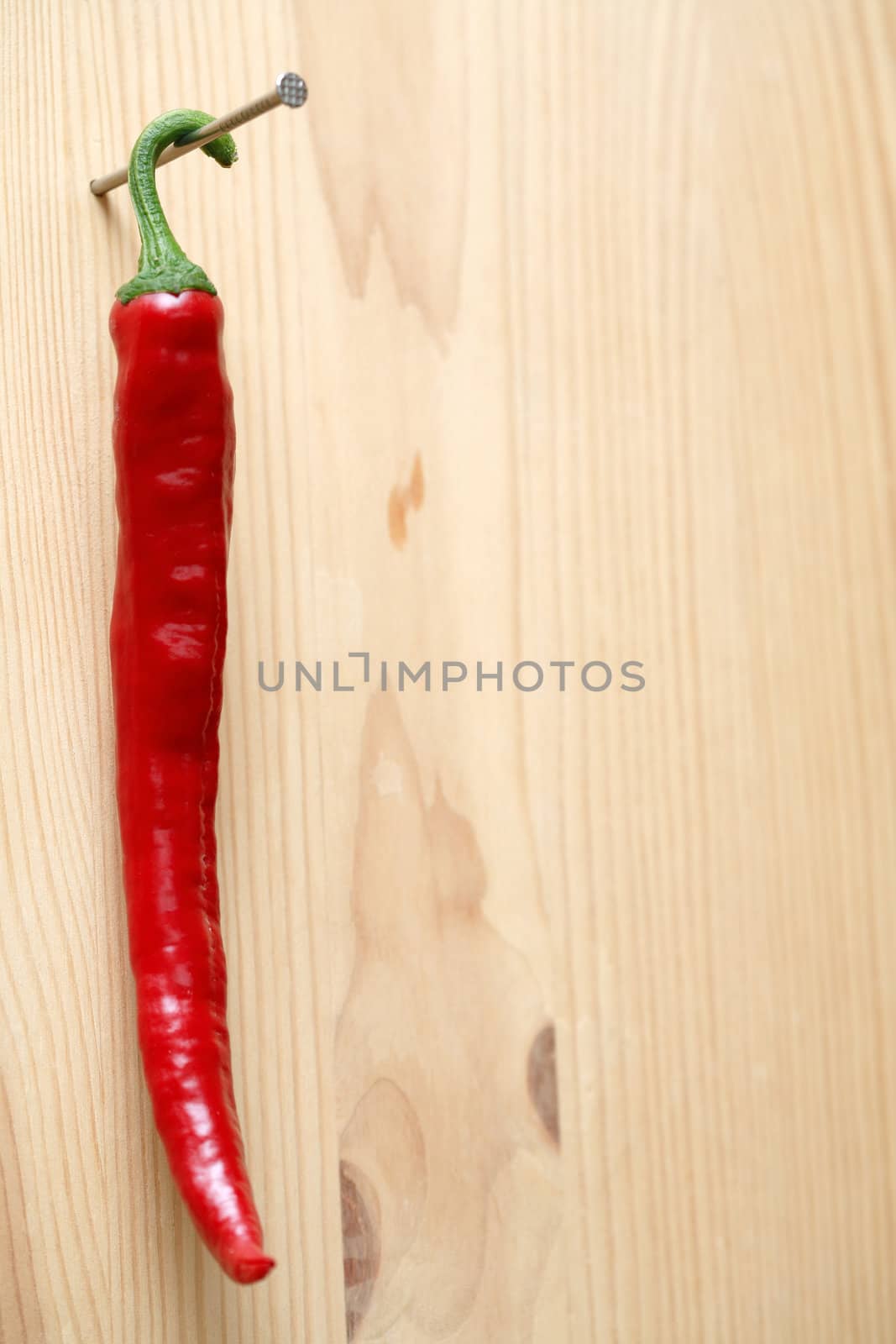 Red hot chili pepper hanging with nail on wooden background