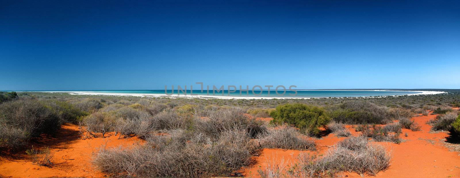 An image of the beautiful Shark Bay in Australia