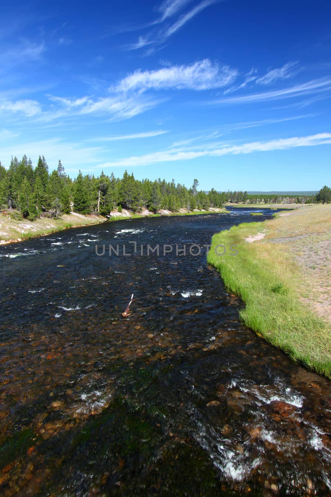 Firehole River flows through Yellowstone National Park on a beautiful sunny day.