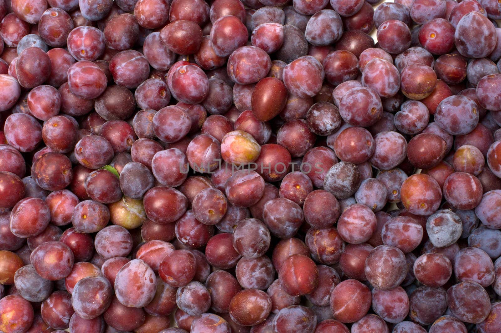 Background from ripe plums.