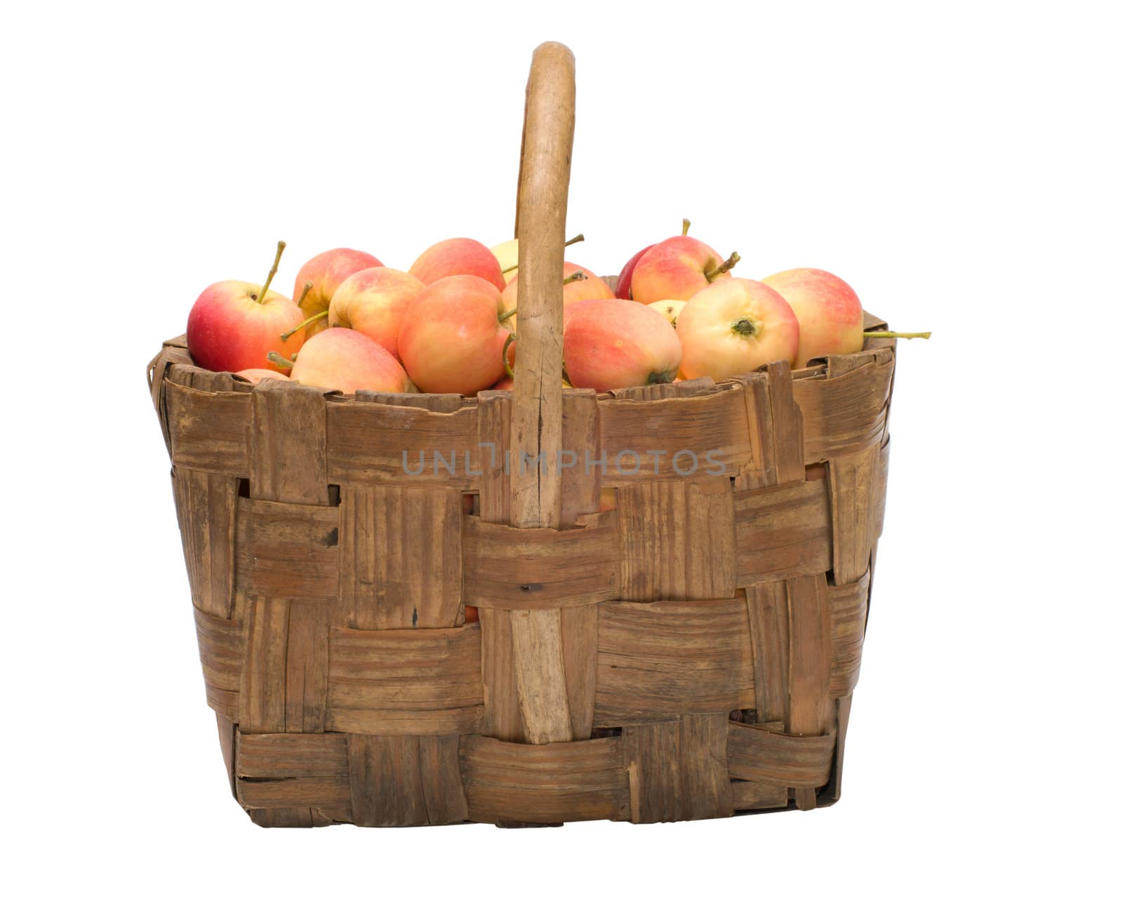 Wattled basket with ripe apples it is isolated on a white background.