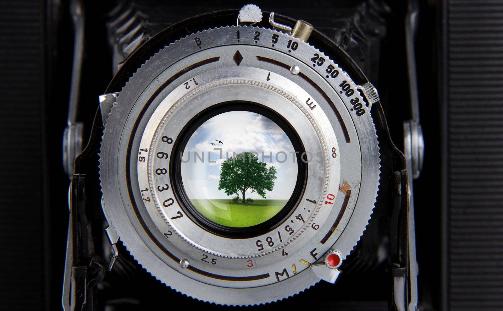 Old Camera with nature effect in the lens