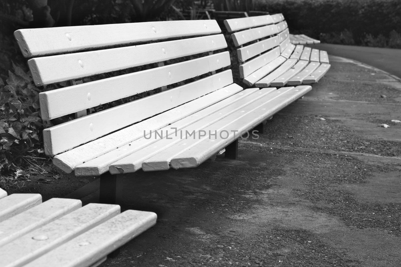 Long curved row of white park benches in B&W