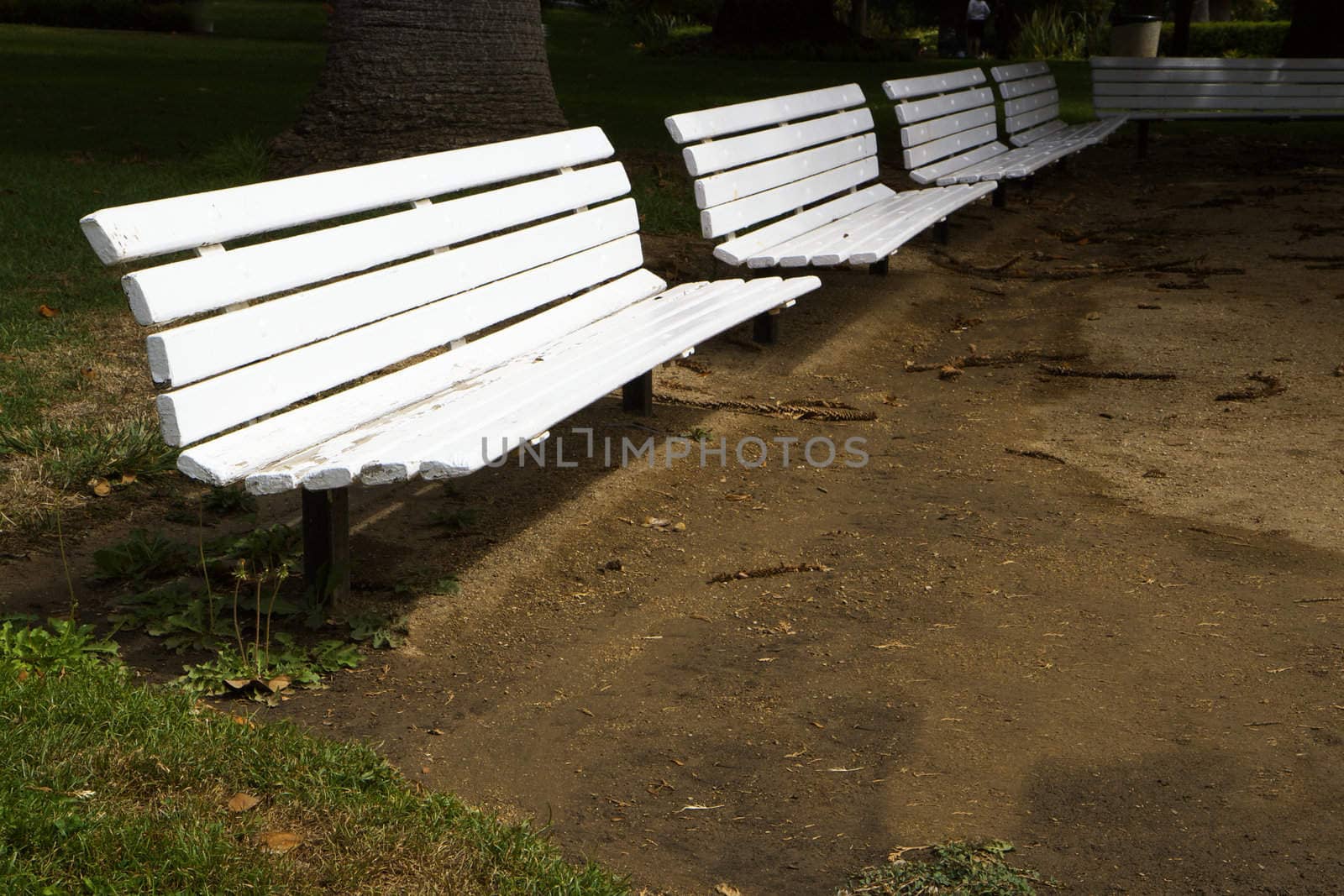 Row of several white benches that curve in distance