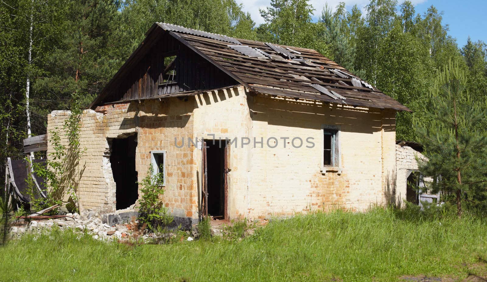 Ruins of the ancient rural house against wood