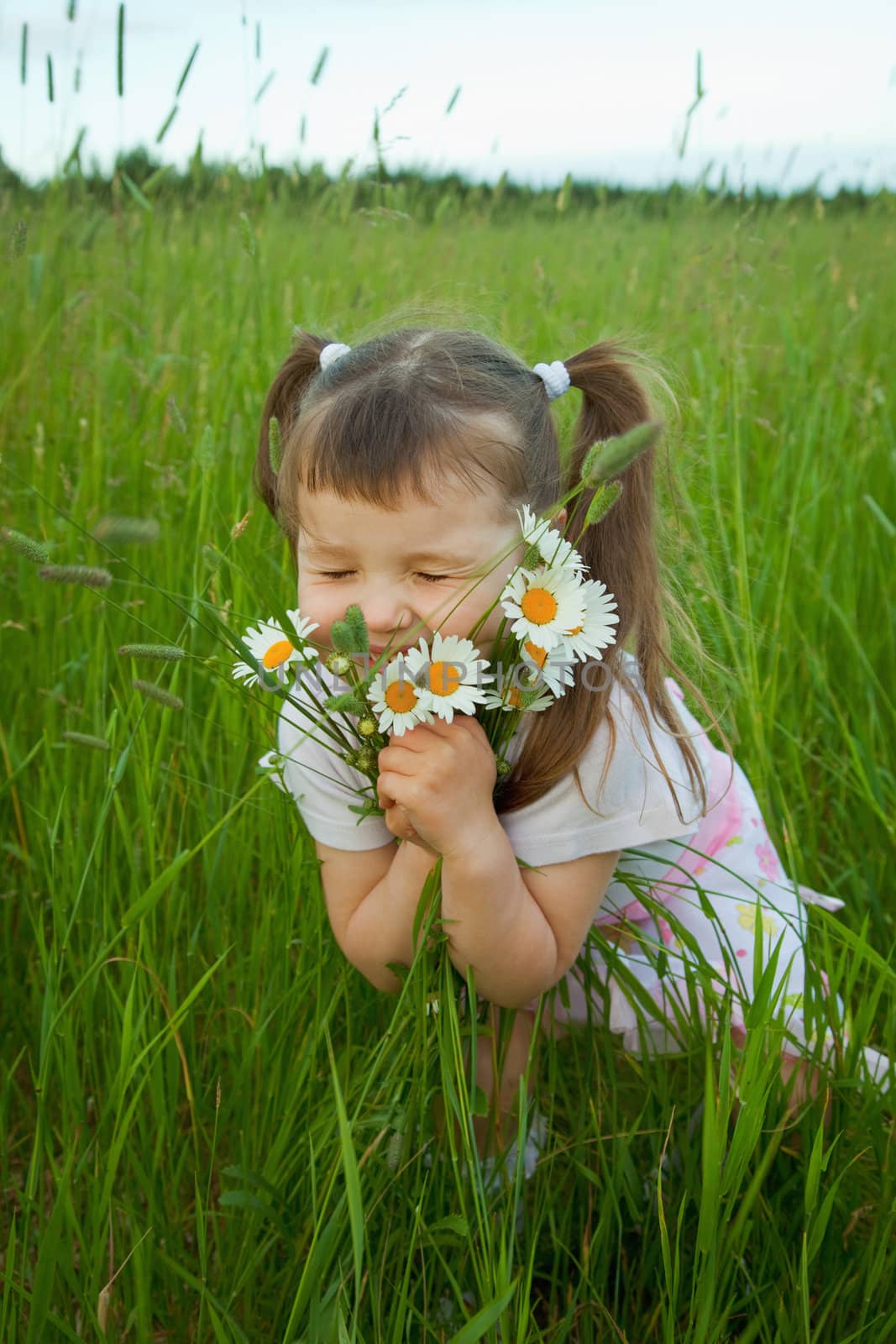 The little girl embraces wild flowers - chamomiles