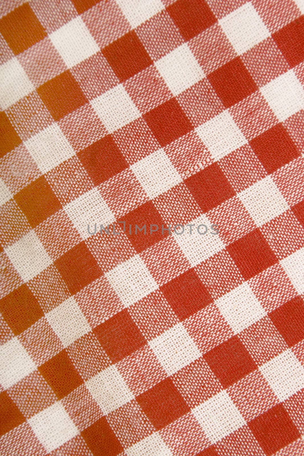 cotton canvas with grid, red and white